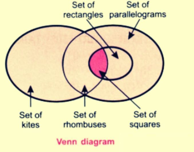 Quadrilaterals NCERT Solutions | Mathematics Class 8- New NCERT (Ganita Prakash)