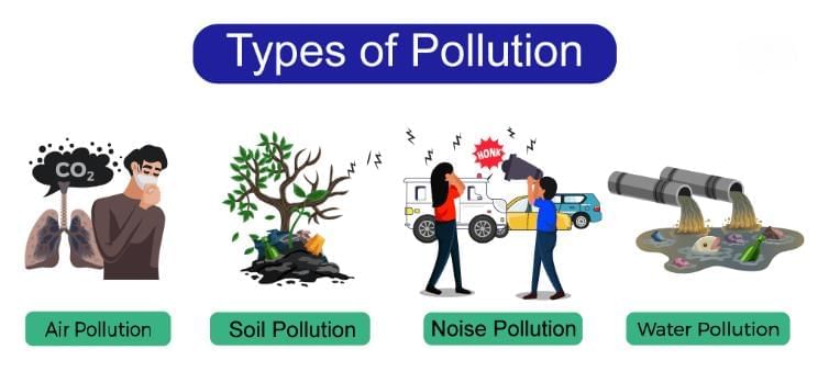 Our Environment (Part 2) Class 5 Notes Science