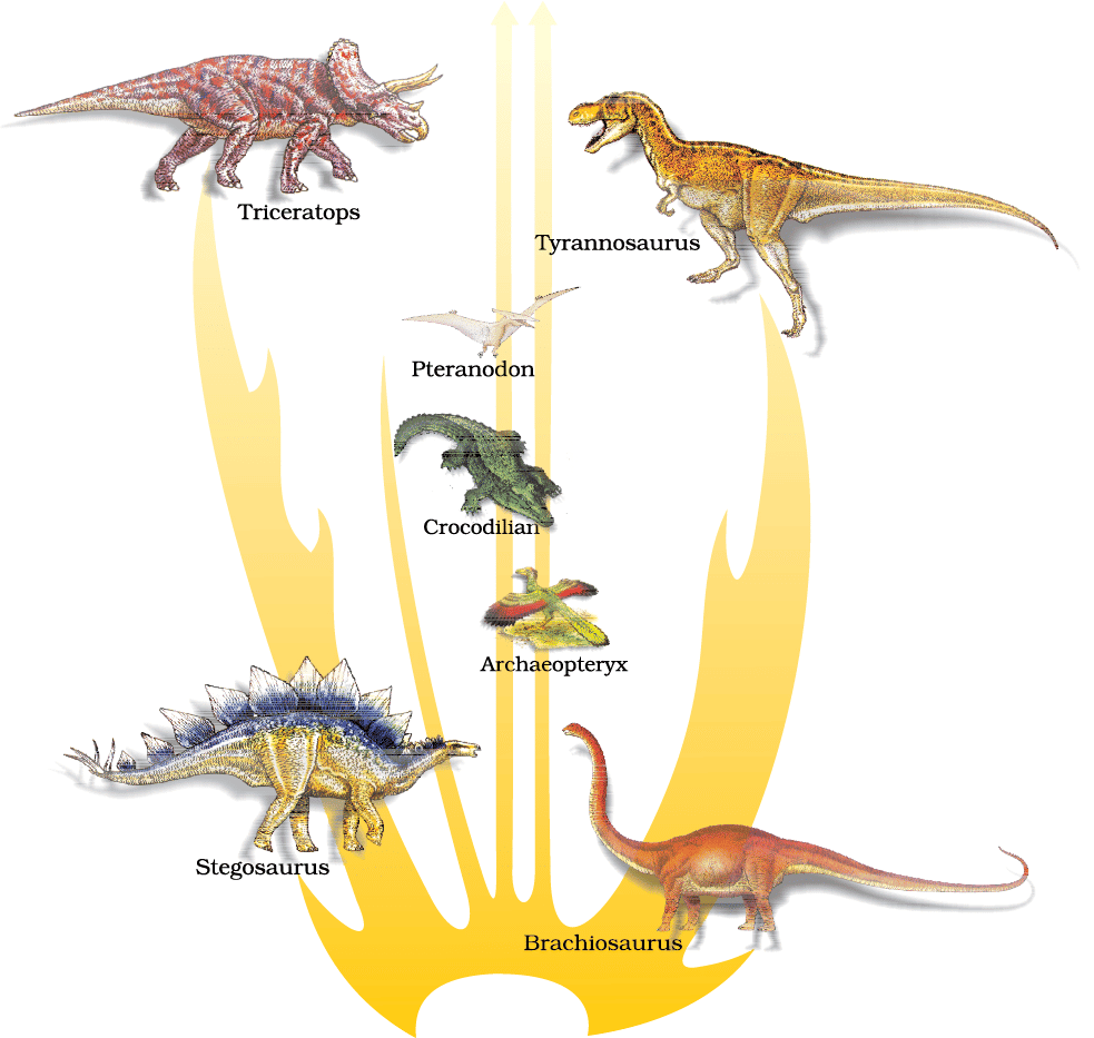 A family tree of dinosaurs and their living modern day counterpart organisms like crocodiles and birds