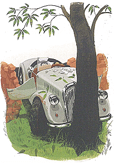 Mr Young`s Car Chapter Notes | Gul Mohar Class 6: Book Solutions, Summaries & Worksheets