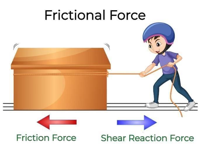 Worksheet: Exploring Forces | Year 8 Physics (Cambridge)