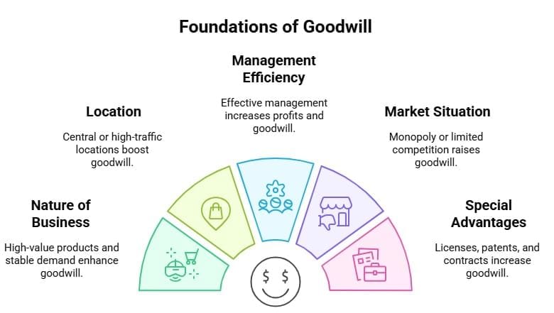 Factors Influencing the Value of Goodwill