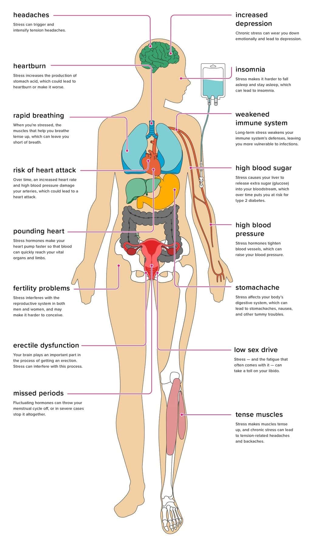 Stress and Its Effects