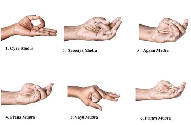 Yoga for Daily Life Chapter Notes | Physical Education and Well Being (Khel Yoga) Class 5