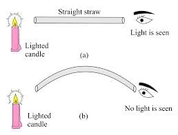 Light and the Formation of Shadows Chapter Notes | General Science Class 6 (Maharashtra Board)