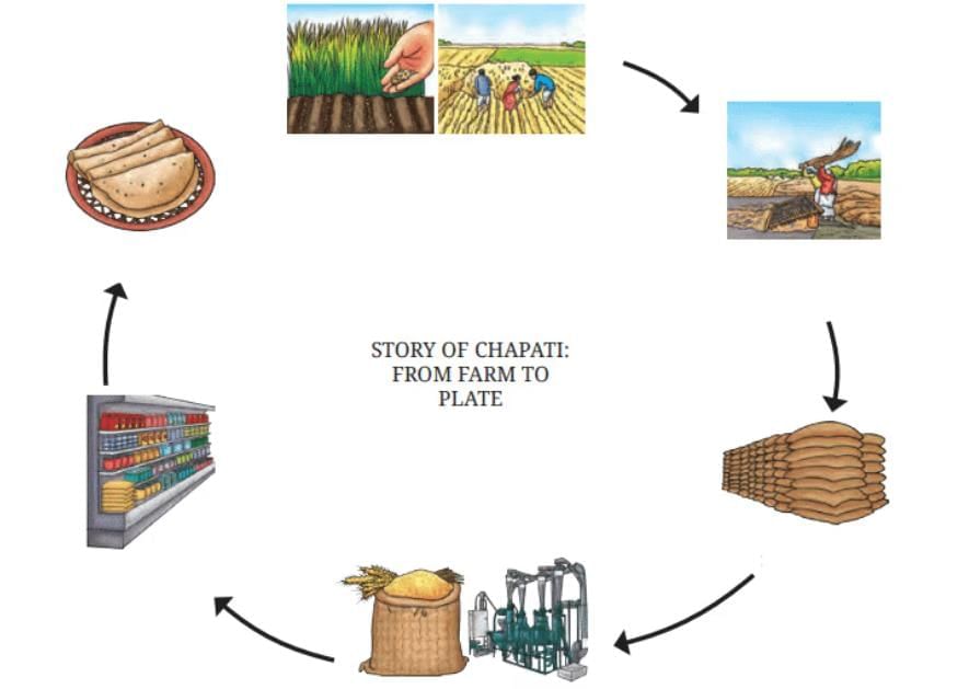 Diagram Based Questions: Mindful Eating: A Path to a Healthy Body | Science for Class 6