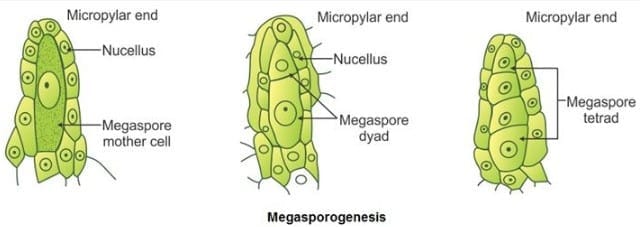 Long Answer Type Questions (5 Marks)