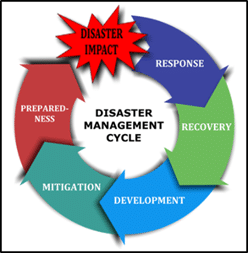 Image result for disaster management cycle