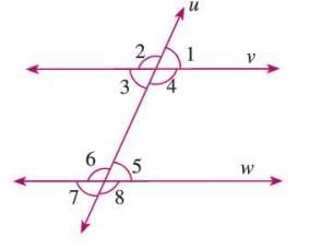 Lines and Angles Chapter Notes | Mathematics Class 7 ICSE
