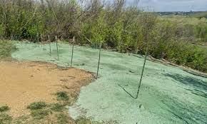 Soil Erosion And Conservation - 1 Class 5 Worksheet Science