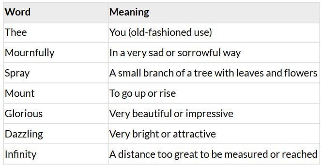 Summary: Past, Present, Future | Gul Mohar Class 6: Book Solutions, Summaries & Worksheets