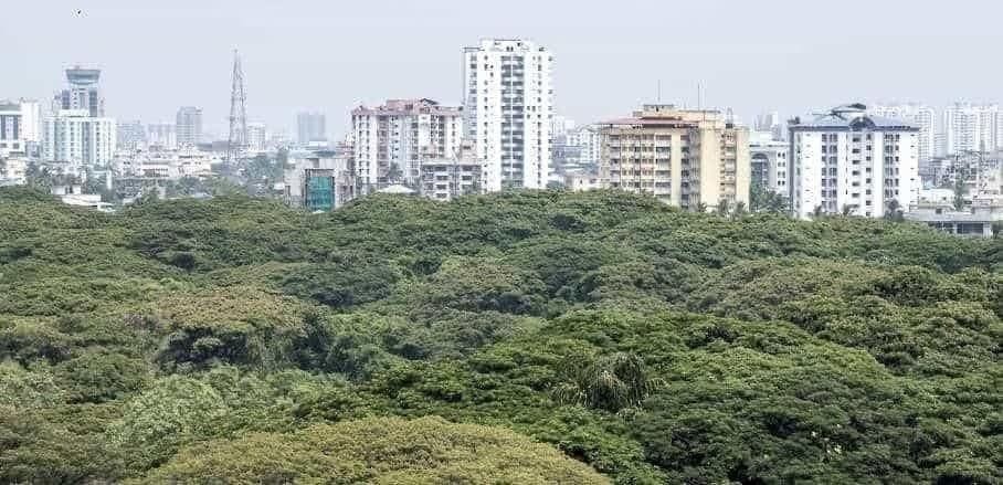 Empowering Urban India for Climate Resilience