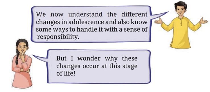 Adolescence: A Stage of Growth and Change Class 7 Notes Science Chapter 6 Free PDF