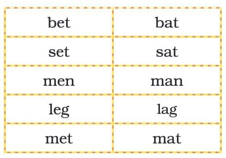 The Frog NCERT Solutions | English Santoor Class 5 - New NCERT