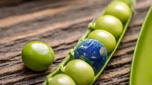 Environment and Ecology: May 2024 UPSC Current Affairs | Current Affairs & Hindu Analysis: Daily, Weekly & Monthly