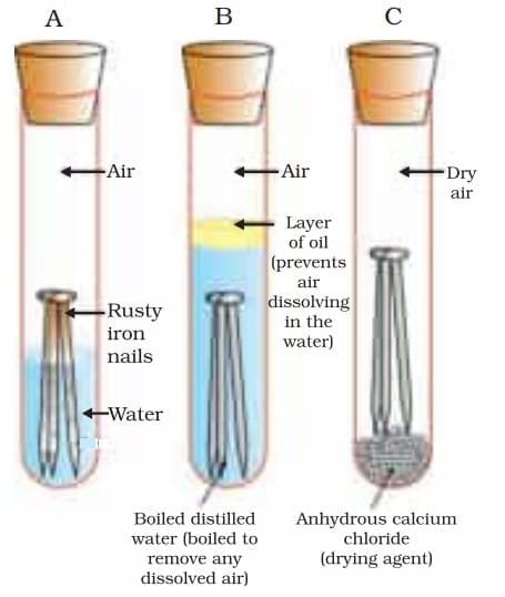 Investigating the conditions under which iron rusts. In tube A, both air and water are present. In tube B, there is no air dissolved in the water. In tube C, the air is dry.
