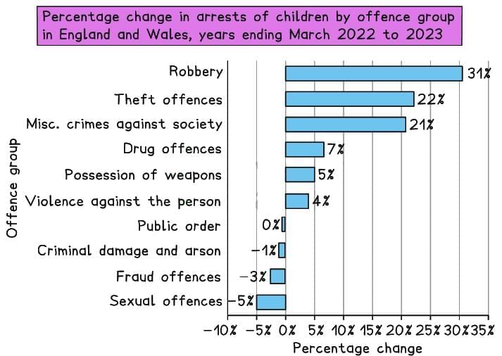 The Relationship Between Age & Crime | Sociology for GCSE/IGCSE - Year 11