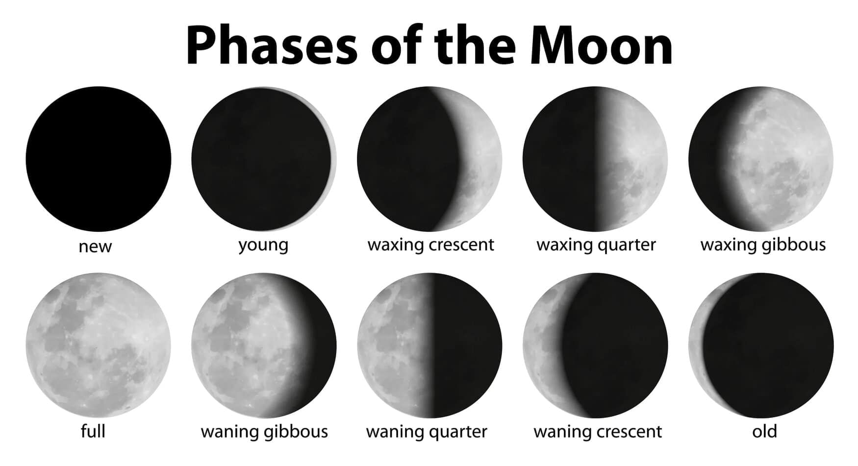 Worksheet: Keeping Time with the Skies | Worksheets with Solutions for Class 8