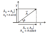 Resolution of Vectors: Motion in a Plane | Physics Class 11 - NEET