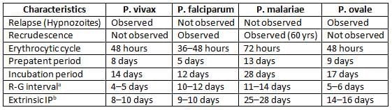 Plasmodium Species and Babesia Chapter Notes | Microbiology - NEET PG