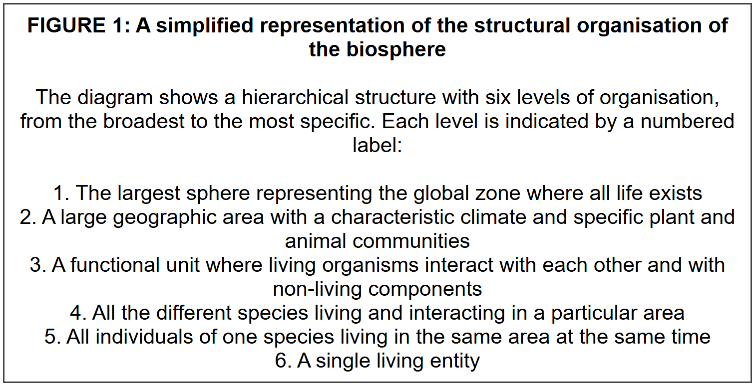 SECTION B: DIAGRAM AND LABELLING QUESTIONS