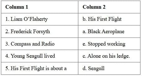 Two Stories about Flying Class 10 Worksheet English Chapter 1