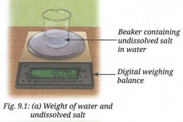 Activity 9.1: Let us investigate a physical change