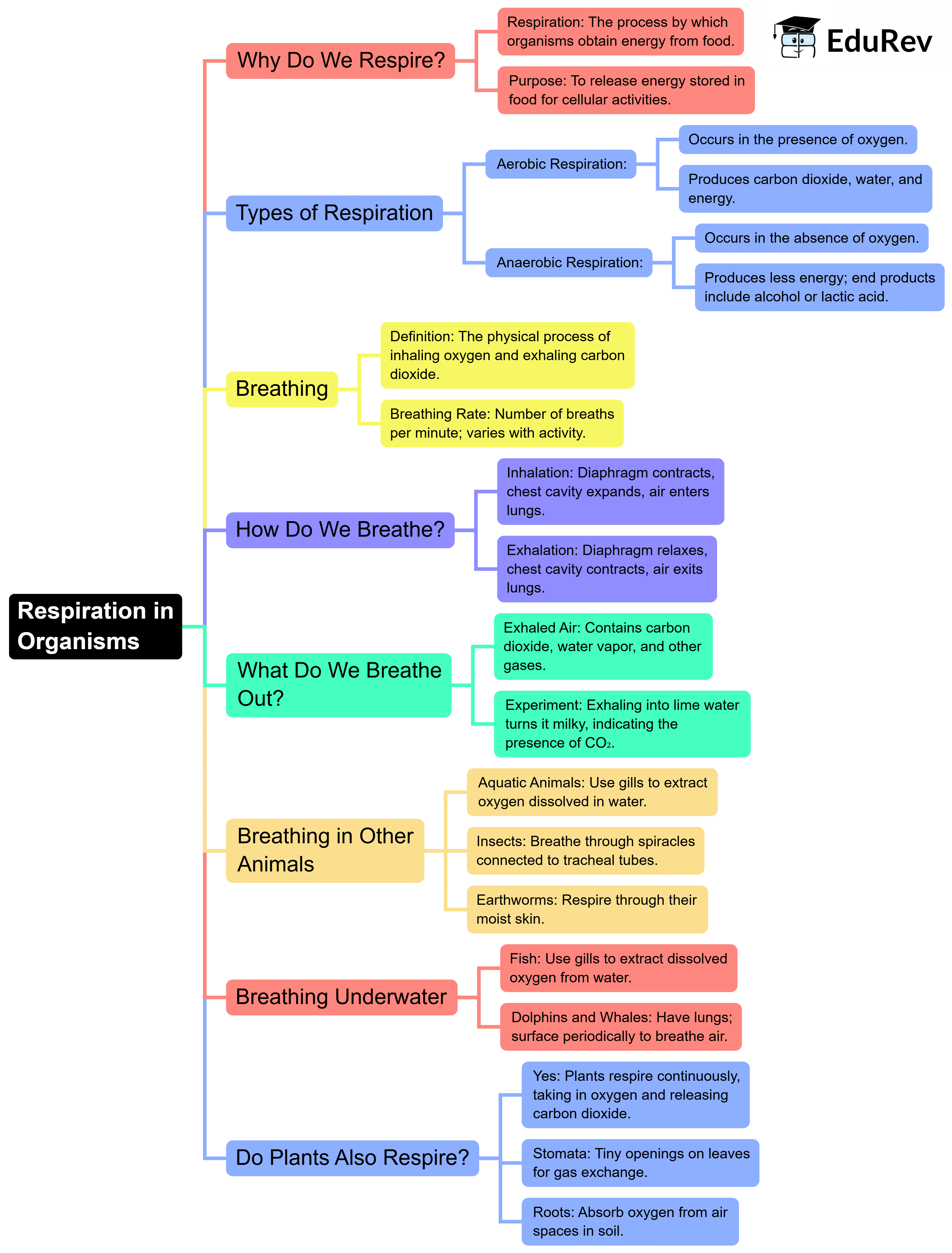 Mindmap: Respiration in Organisms | Science Class 7 (Old NCERT)