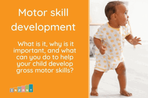 Physical Development Across the Lifespan Chapter Notes | AP Psychology - Grade 11