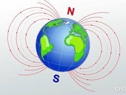 Earth, a Unique Life Sustaining Planet NCERT Solutions | Science Curiosity Class 8 -  New NCERT