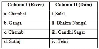 Class 10 Social Science Previous Year Questions - Water Resources