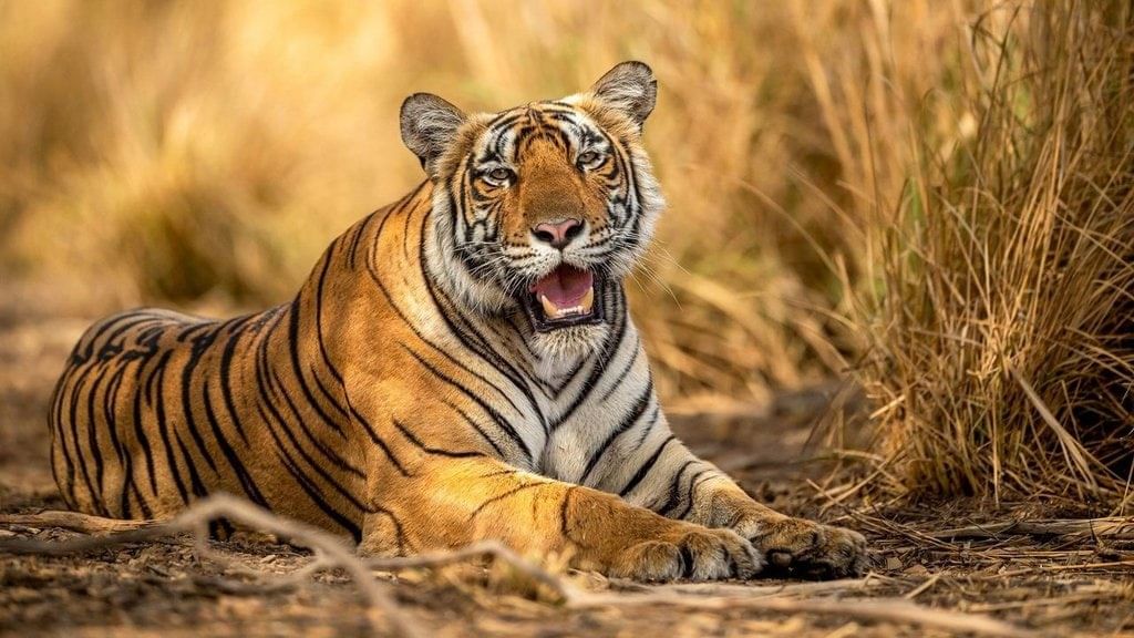 Environment and Ecology: August 2025 UPSC Current Affairs | Environment for UPSC CSE