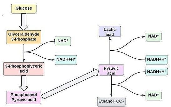 3.1 Definition and Conditions