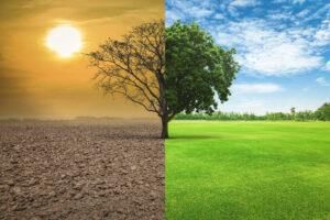 Weather and Climate Chapter Notes | Social Studies Class 5 ICSE
