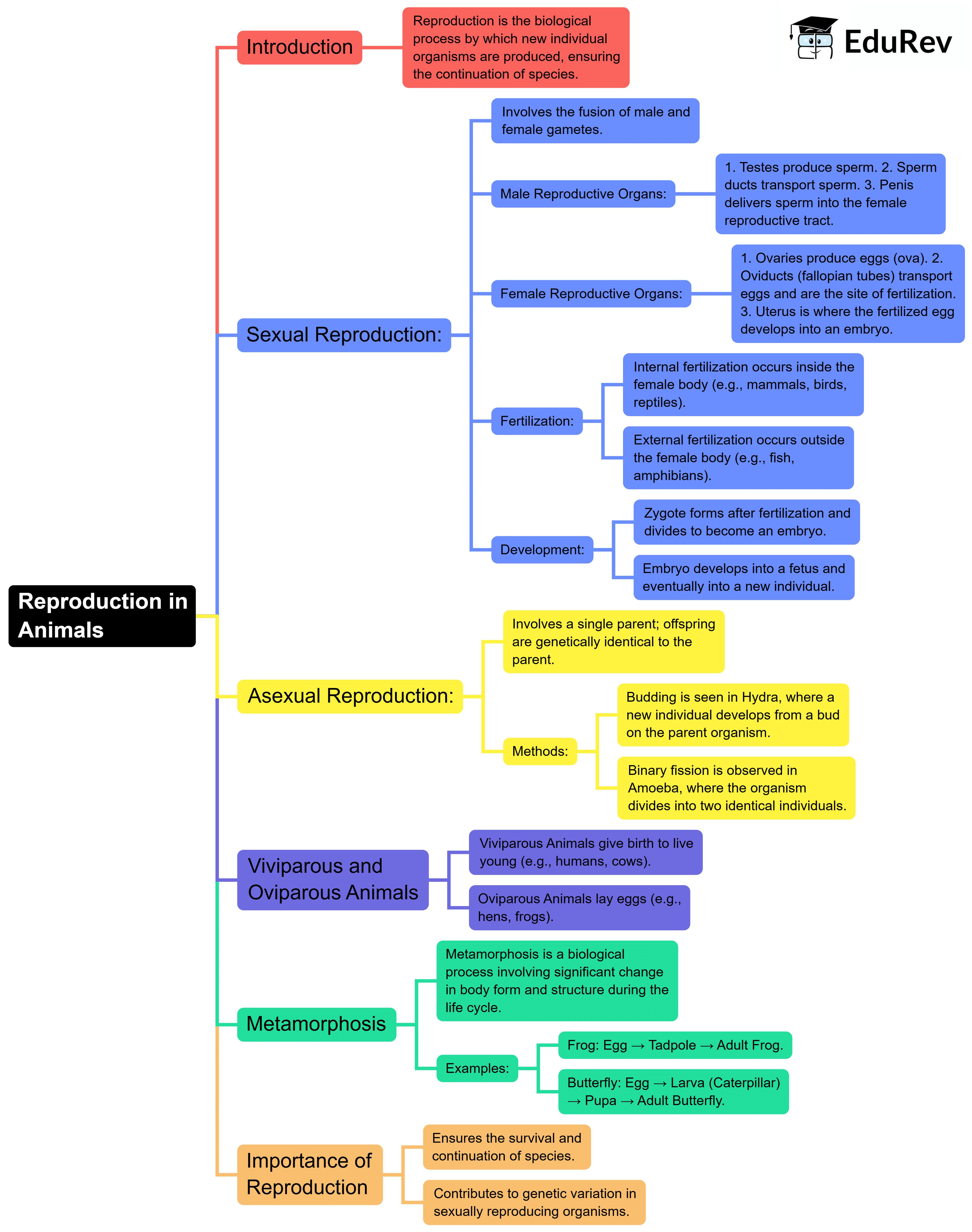 Mind Map: Reproduction in Animals | Science Class 8
