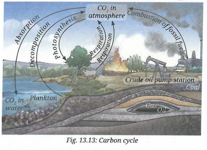 Revise, Reflect, Refine