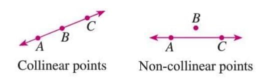 Fundamental Concepts of Geometry Chapter Notes | Mathematics Class 6 ICSE