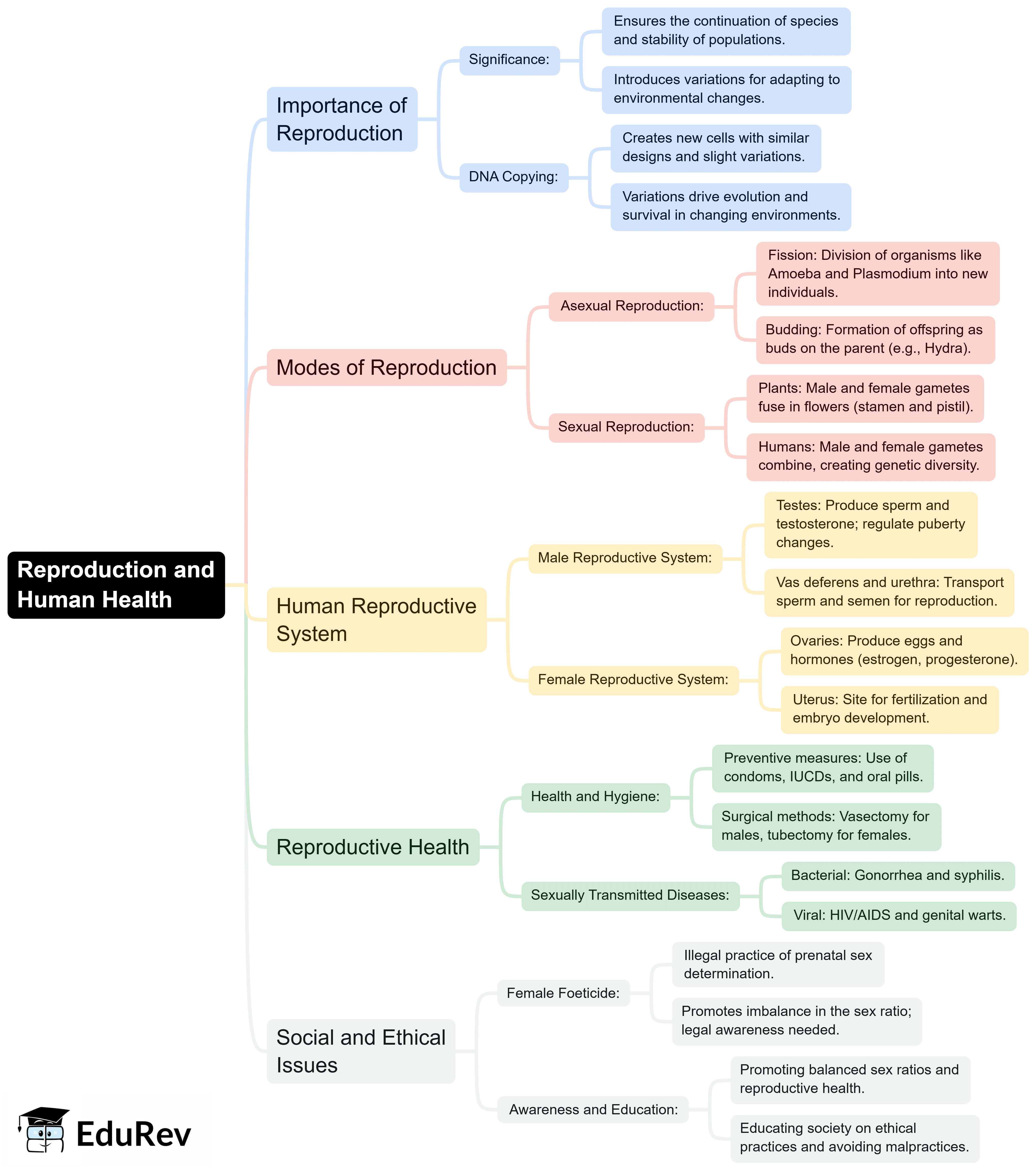 Mind Map: How do Organisms Reproduce? | Subject-Wise Mind Maps for Class 10