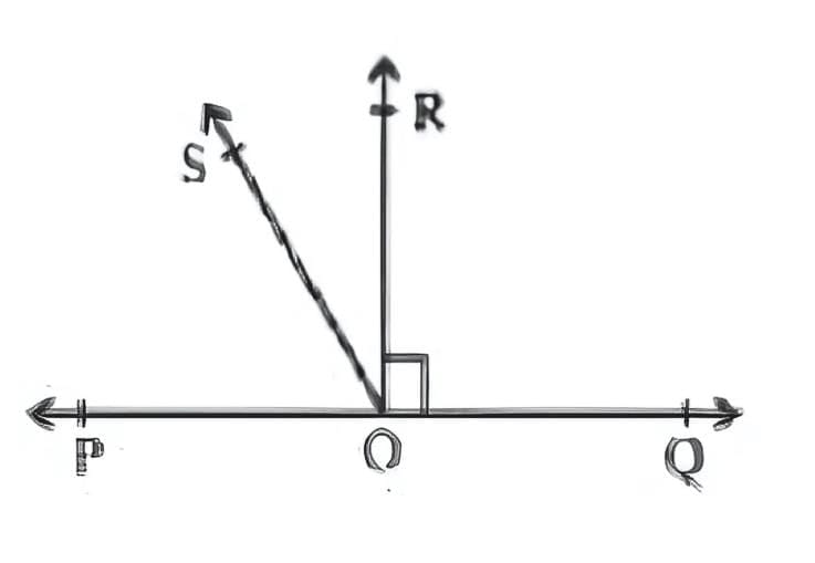 Unit Test (Solutions): Lines & Angles