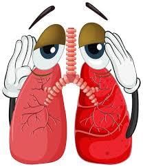 Respiration and moving | Year 8 Biology (Cambridge)