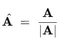 Vectors: Definition, Types & Unit Vectors | Physics for JEE Main & Advanced