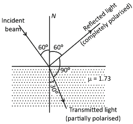 NEET Previous Year Questions (2014-2025): Wave Optics | Physics Class 12
