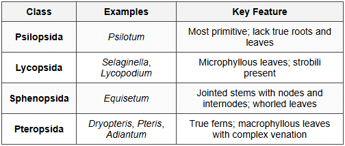 6. Classification of Pteridophytes