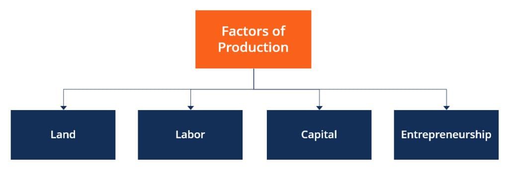 Revision Notes: Factors of Production | Business for Grade 10