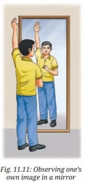 Activity Description