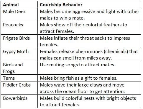 Reproduction and Growth of Animals Chapter Notes | Science for Grade 6