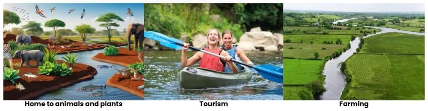 Unit Test (Solutions): Water—The Essence of Life | Our Wondrous World  Class 5 - New NCERT