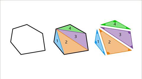 Polygons - sum of interior angles - Year 7