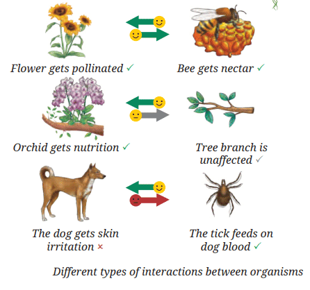 How Nature Works in Harmony Chapter Notes | Chapter Notes For Class 8
