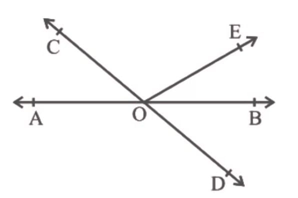 NCERT Solutions for Class 9 Maths Chapter 6 - Lines and Angles